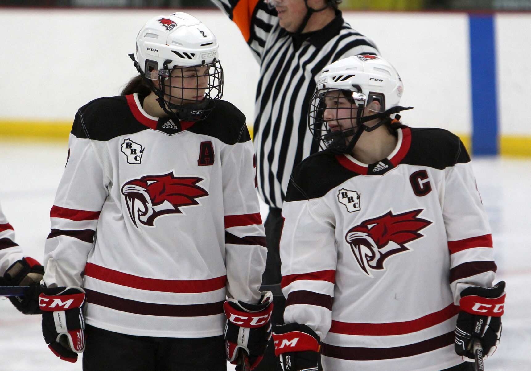 Hudson at Chippewa Falls/Menomonie girls hockey 1-17-23